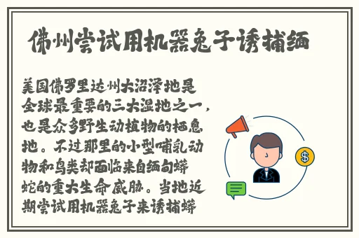 japonensisjava老师网站App